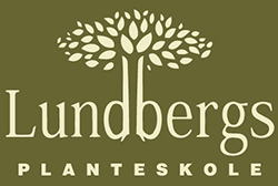 lundberg-logo-vector-green-bg